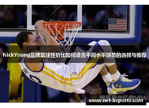 NickYoung品牌篮球性价比如何适合不同水平球员的选择与推荐