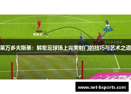 莱万多夫斯基：解密足球场上完美射门的技巧与艺术之道