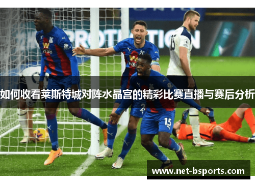 如何收看莱斯特城对阵水晶宫的精彩比赛直播与赛后分析