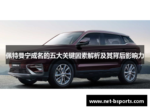 佩特曼宁成名的五大关键因素解析及其背后影响力