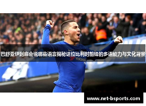 巴舒亚伊到底会说哪些语言揭秘这位比利时前锋的多语能力与文化背景 巴舒亚伊到底会说哪些语言揭秘这位比利时前锋的多语能力与文化背景